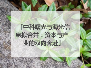 中科曙光与海光信息拟合并：资本与产业的双向奔赴