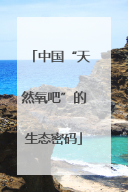 中国“天然氧吧”的生态密码