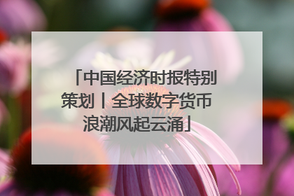 中国经济时报特别策划丨全球数字货币浪潮风起云涌