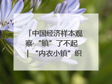 中国经济样本观察·“镇”了不起｜“内衣小镇”织出500亿元“里子产业”