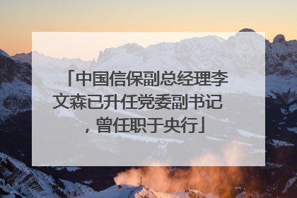 中国信保副总经理李文森已升任党委副书记，曾任职于央行
