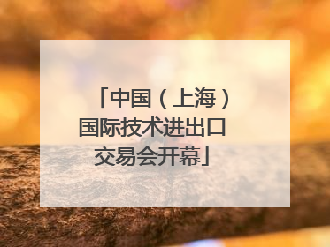 中国（上海）国际技术进出口交易会开幕