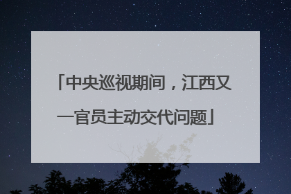 中央巡视期间，江西又一官员主动交代问题