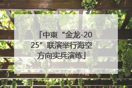 中柬“金龙-2025”联演举行海空方向实兵演练