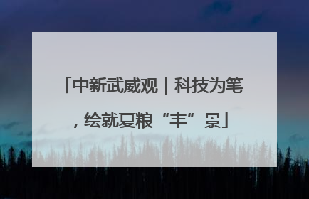 中新武威观｜科技为笔，绘就夏粮“丰”景