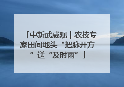 中新武威观｜农技专家田间地头“把脉开方”送“及时雨”