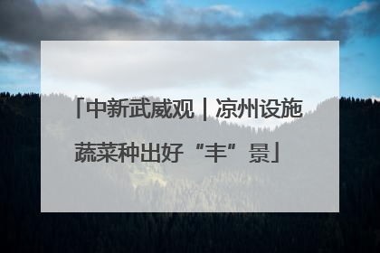 中新武威观｜凉州设施蔬菜种出好“丰”景