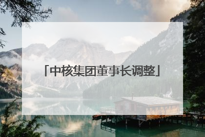 中核集团董事长调整
