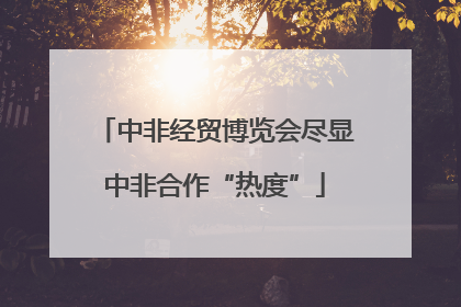 中非经贸博览会尽显中非合作“热度”
