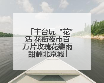 丰台玩“花”活 花街夜市百万片玫瑰花瓣雨甜翻北京城