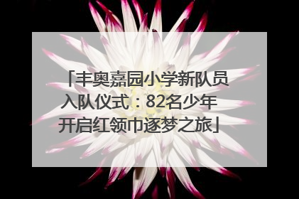 丰奥嘉园小学新队员入队仪式：82名少年开启红领巾逐梦之旅