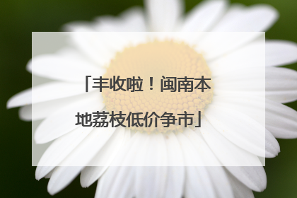 丰收啦！闽南本地荔枝低价争市