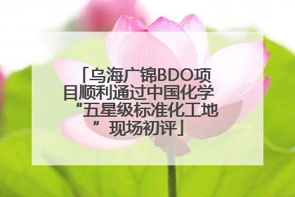 乌海广锦BDO项目顺利通过中国化学“五星级标准化工地”现场初评