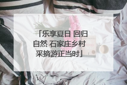 乐享夏日 回归自然 石家庄乡村采摘游正当时