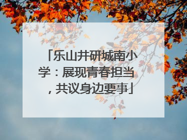 乐山井研城南小学：展现青春担当，共议身边要事