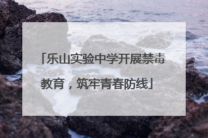 乐山实验中学开展禁毒教育，筑牢青春防线