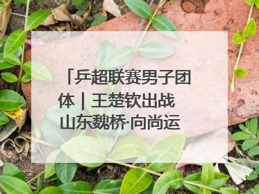 乒超联赛男子团体｜王楚钦出战 山东魏桥·向尚运动胜四川丰谷
