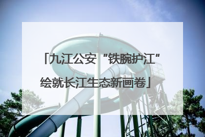 九江公安“铁腕护江”绘就长江生态新画卷