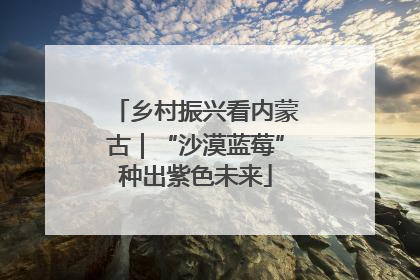 乡村振兴看内蒙古｜“沙漠蓝莓”种出紫色未来