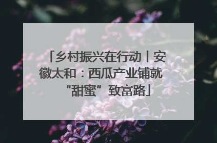 乡村振兴在行动丨安徽太和：西瓜产业铺就“甜蜜”致富路