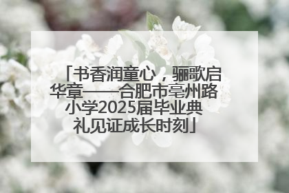 书香润童心，骊歌启华章——合肥市亳州路小学2025届毕业典礼见证成长时刻