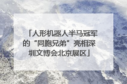人形机器人半马冠军的“同胞兄弟”亮相深圳文博会北京展区