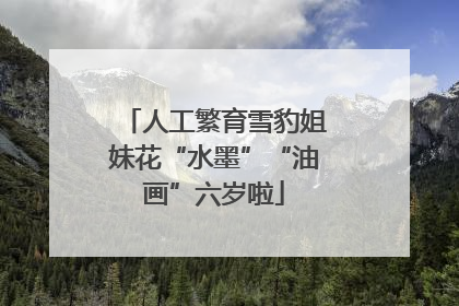 人工繁育雪豹姐妹花“水墨”“油画”六岁啦