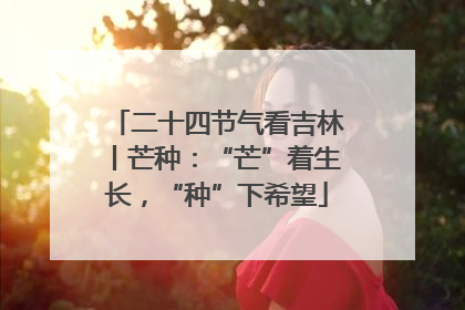二十四节气看吉林丨芒种：“芒”着生长，“种”下希望