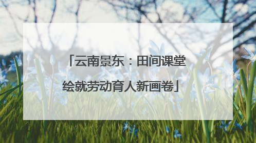 云南景东：田间课堂绘就劳动育人新画卷