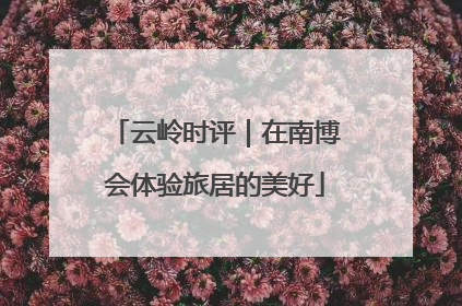 云岭时评｜在南博会体验旅居的美好
