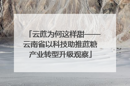 云蔗为何这样甜——云南省以科技助推蔗糖产业转型升级观察