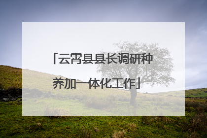 云霄县县长调研种养加一体化工作