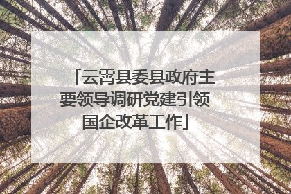 云霄县委县政府主要领导调研党建引领国企改革工作