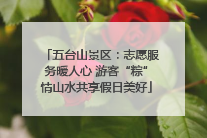 五台山景区：志愿服务暖人心 游客“粽”情山水共享假日美好