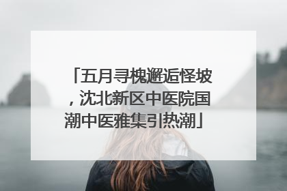 五月寻槐邂逅怪坡，沈北新区中医院国潮中医雅集引热潮