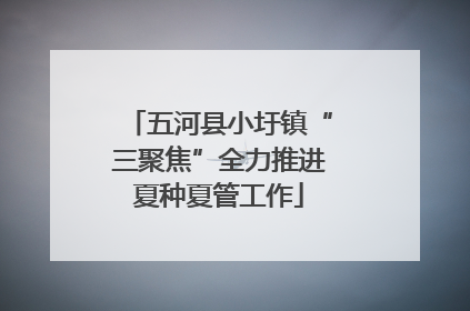 五河县小圩镇“三聚焦”全力推进夏种夏管工作