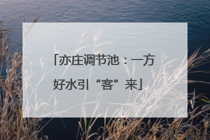亦庄调节池：一方好水引“客”来