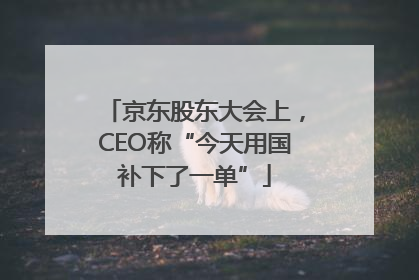 京东股东大会上，CEO称“今天用国补下了一单”