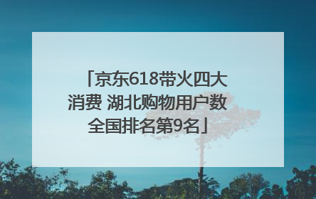 京东618带火四大消费 湖北购物用户数全国排名第9名