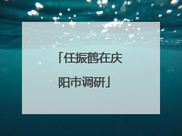 任振鹤在庆阳市调研