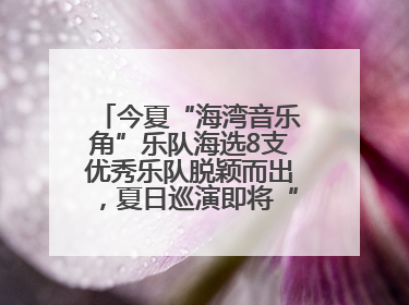 今夏“海湾音乐角”乐队海选8支优秀乐队脱颖而出，夏日巡演即将“乐动”青岛市南