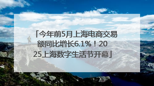 今年前5月上海电商交易额同比增长6.1%！2025上海数字生活节开幕