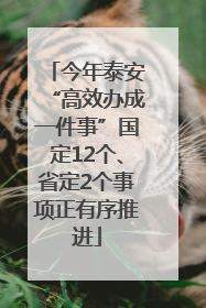 今年泰安“高效办成一件事”国定12个、省定2个事项正有序推进