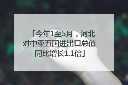 今年1至5月，河北对中亚五国进出口总值同比增长1.1倍