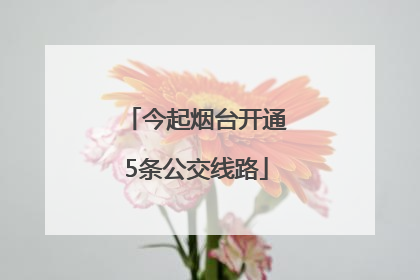 今起烟台开通5条公交线路