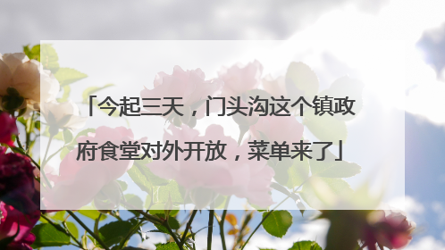 今起三天，门头沟这个镇政府食堂对外开放，菜单来了