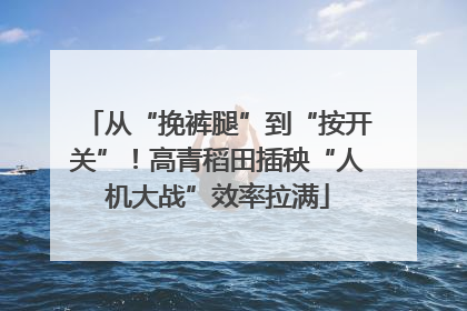 从“挽裤腿”到“按开关”！高青稻田插秧“人机大战”效率拉满