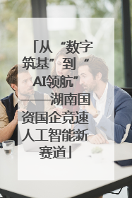 从“数字筑基”到“AI领航”——湖南国资国企竞速人工智能新赛道