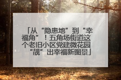 从“隐患地”到“幸福角”！五角场街道这个老旧小区党建微花园“靓”出幸福新图景