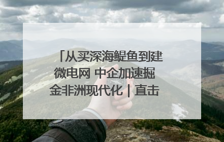 从买深海鳀鱼到建微电网 中企加速掘金非洲现代化｜直击中非经贸博览会